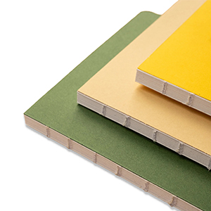 MBE_Notebook_2